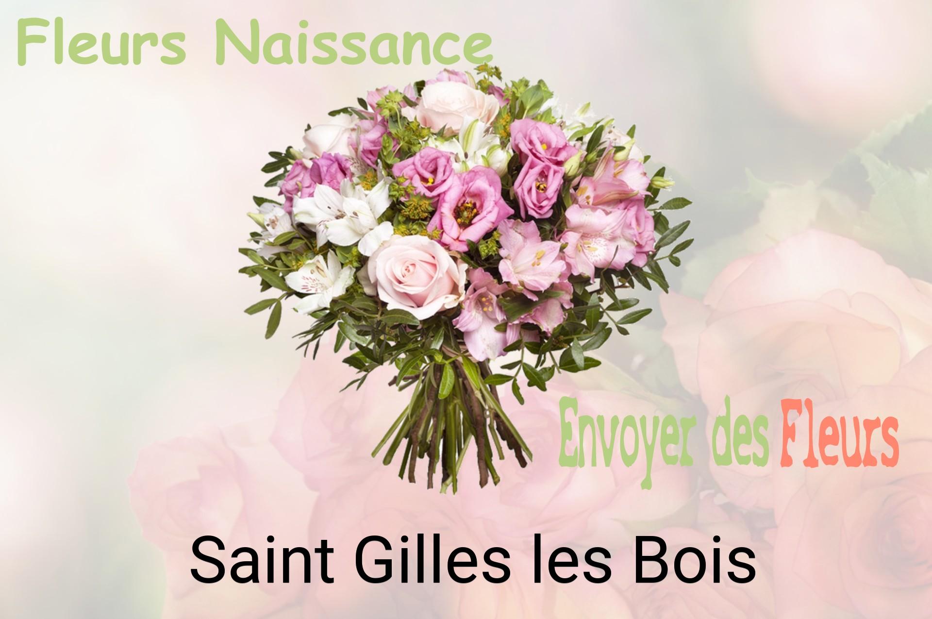 Bouquet de fleurs de naissance livré à Saint-Gilles-les-Bois